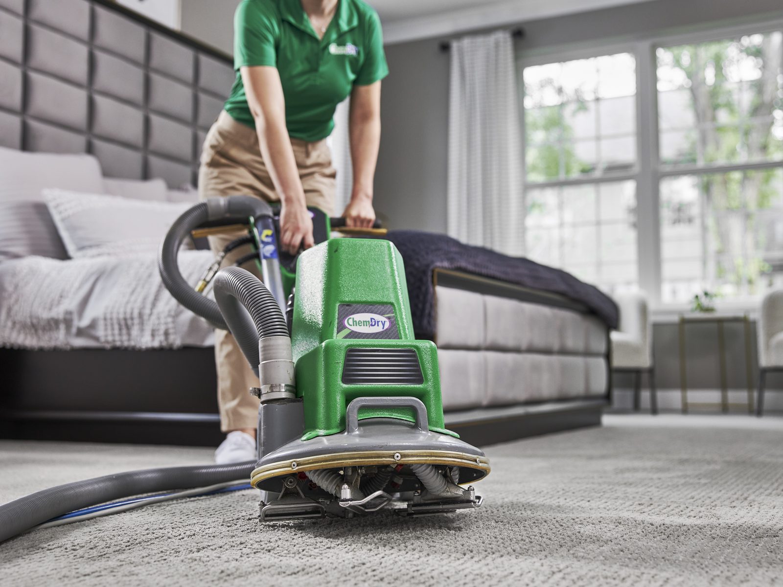 Carpet Cleaning